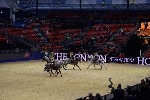 Quadrille - 00753